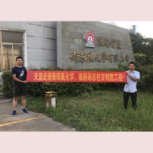 旗下東莞天藍公司 SNCR 脫硝工程案例